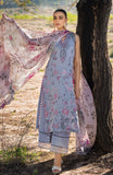 Alzohaib MLL-24-11 Blossom Ash Online Shopping