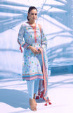 Alzohaib CFD-V3-24-13 Colors Fancy Lawn Dupatta  Online Shopping
