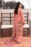 Ramsha L-912 Online Shopping