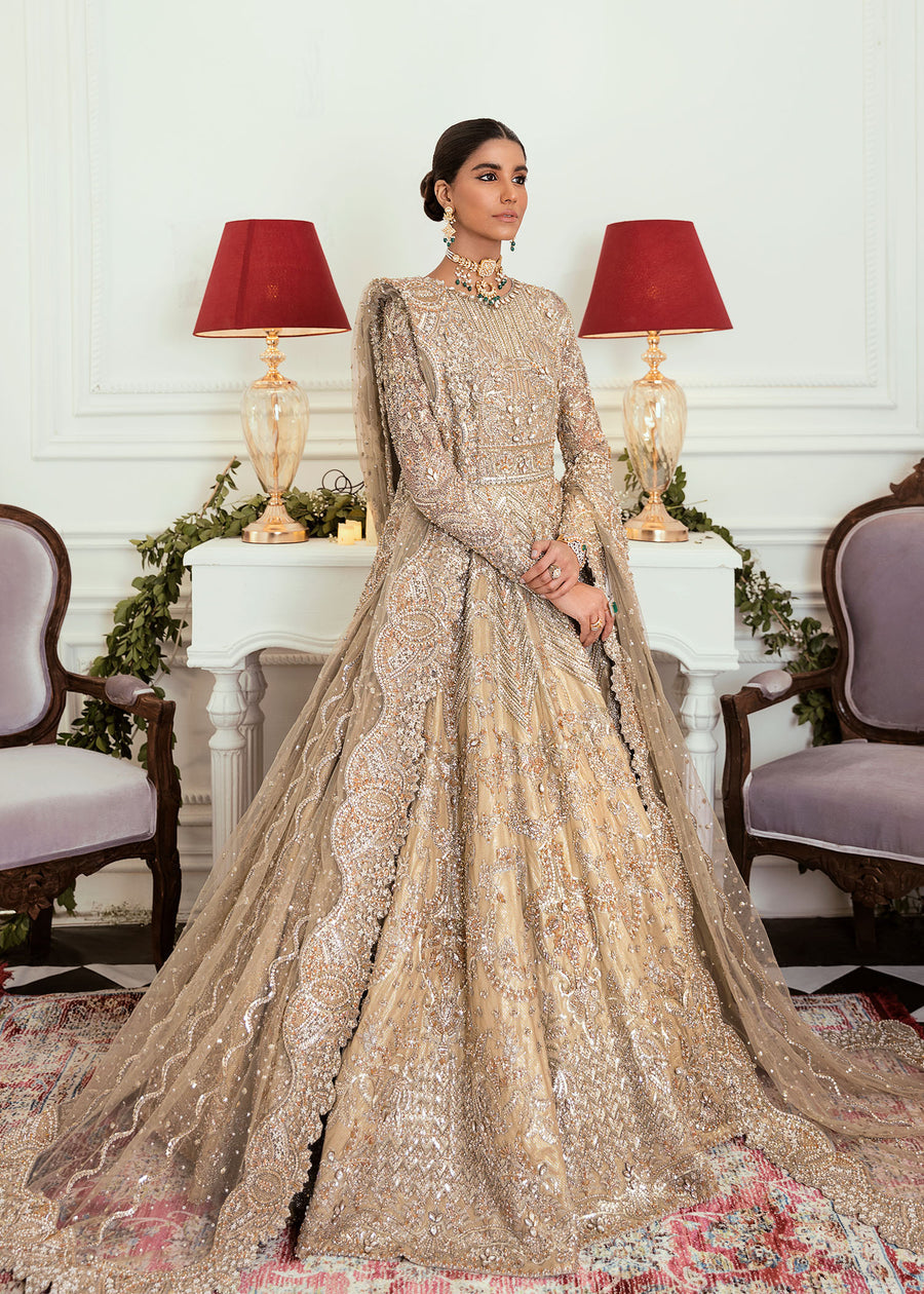 Akbar Aslam Hoatzin Bridal Wears 2022 Online Shopping