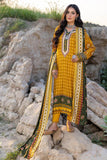 Gulahmed LT-22014 B Poshak E Chinar Winter Collection 2022 Online Shopping