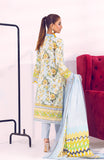 Alzohaib CSD-22-02B Colours Digital Striped Doriya Edition 2022 Online Shopping