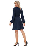 Women Ruched Dress Long Sleeve V-Neck Defined Waist Flared A-Line Dress