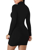 Women's Sexy Basic Long Sleeve Turtleneck Bodycon Club Mini Dress