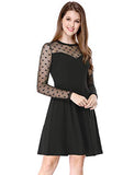 Women's Heart Polka Dots Mesh Sheer Skater Party A-Line Short Dress