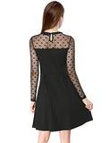 Women's Heart Polka Dots Mesh Sheer Skater Party A-Line Short Dress