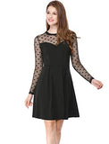 Women's Heart Polka Dots Mesh Sheer Skater Party A-Line Short Dress