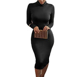 Women Winter Turtleneck Bodycon Dresses - Long Sleeve Solid Midi Sexy Club Dress