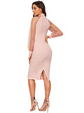 Women's Mock Neck Long Mesh Sleeve Zipper Back Sheath Dress | Women's Evening Gowns