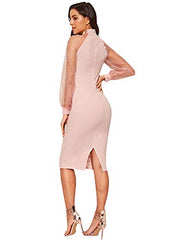 Women's Mock Neck Long Mesh Sleeve Zipper Back Sheath Dress