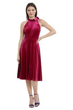 Women's Draped Neck Tie Fit & Flare Dress