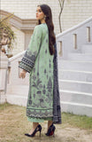 Seran Daisy Winter Blossoms 2022 Online Shopping