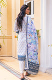 Alzohaib AKC-23-04 An Kahi Printed Collection Online Shopping