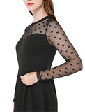 Women's Heart Polka Dots Mesh Sheer Skater Party A-Line Short Dress