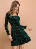 Women's Velvet Square Neck Long Sleeve Vintage Mini Star Dress