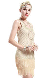 Women's Flapper Dresses 1920s V Neck Beaded Fringed Great Gatsby Dress