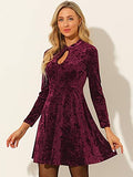 Women's Keyhole Neck Dresses High Waist Long Sleeve Velvet Mini Dress