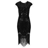 Ro Rox Evelyn 1920's Cocktail Party Great Gatsby Costume Sequin Flapper Dress