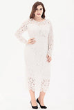 Women's Floral Lace Long Sleeve Plus Size Lace Dress Black | Women's Evening Gowns
