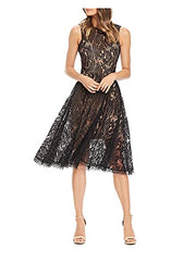 Women's Shane Sleeveless Lace Illusion Fit & Flare Midi Dress