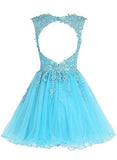 Homecoming Dress Short Cocktail Dress Lace Homecoming Dress Tulle V Neck Prom Dresses Appliques