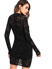 Women's See Through Mesh Long Sleeve Stretch Bodycon Dress Without Camisole