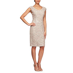 Women's Shift Midi Lace Embroidered Dress (Petite And Regular)