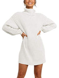 Women Turtleneck Long Lantern Sleeve Casual Loose Oversized Sweater Dress Soft Winter Pullover Dresses