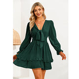 Women Tie Front Elastic Waist Tiered Ruffle Layer Floral Balloon Long Sleeve V-Neck A-Line Mini Dress