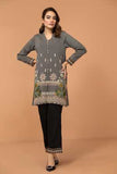 Nishat Linen 42003438 Winter Collection 2020