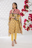 Nishat Linen 42202339-Printed 3PC Lawn Collection 2022 Online Shopping