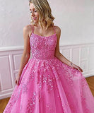 Women's Tulle Prom Dresses Long Teens Party Dress Formal Evening Gown A Line Lace Applique Sleeveless with Train
