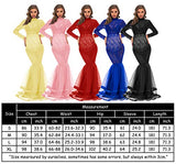 Lace See-through Gown For Photo Shoot Long Sleeve Tutus Maxi Photo Props Dress | Women's Casual Dresses