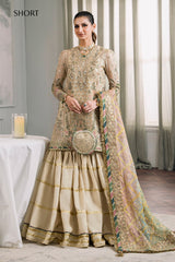 Baroque Embroidered Masuri CH12-04 Chantelle Chiffon Collection Online Shopping