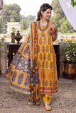 D587 Cotton Net  So Kamal Luxury Winter 2022