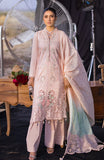Alzohaib MLL-24-07 Rose Gold Online Shopping