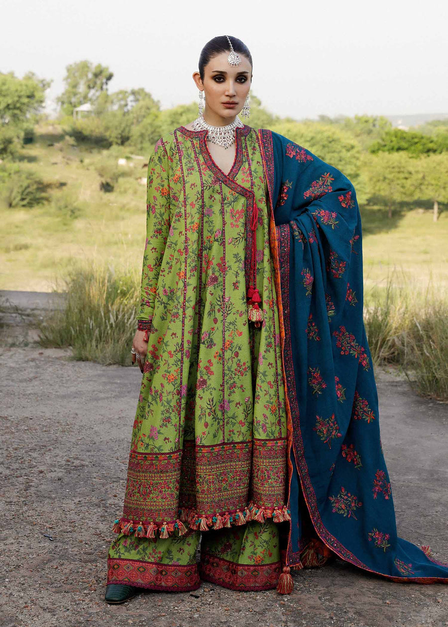 Hussain Rehar Corral Karandi Collection Online Shopping