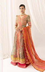 Asifa N Nabeel Rangoli (ANB-01) Barasti Festive Edition Online Shopping