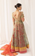 Asifa N Nabeel Rangoli (ANB-01) Barasti Festive Edition Online Shopping