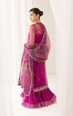 Asifa N Nabeel Raqs (ANB-02) Barasti Festive Edition Online Shopping
