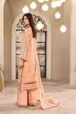 Alizeh Aansha Dhaagay Chiffon Collection Online Shopping
