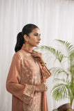 Dhanak DA-2046 Rust Embroidered Kurta With Dupatta Casual Cotton Prets 2022 Online Shopping