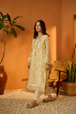 Dhanak DA-2069 Festive Stateent Prets 2022 Online Shopping