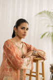 Dhanak DC-0421 L-peach Embroidered Kurta Casual Cotton Prets 2022 Online Shopping