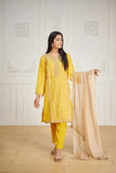 Dhanak DL 0190 Yellow 3pcs Eid Edits 2022 Online Shopping