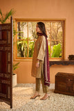 Dhanak DL-0197 Festive Stateent Prets 2022 Online Shopping
