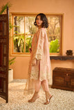 Dhanak DL-0214 Festive Stateent Prets 2022 Online Shopping