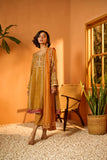 Dhanak DL-0226 Festive Stateent Prets 2022 Online Shopping