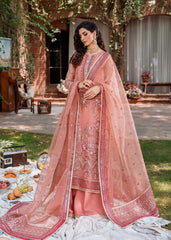 Akbar Aslam Mehrbano Mastani Wedding Formals Online Shopping