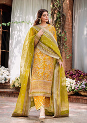 Akbar Aslam Rohi Mastani Wedding Formals Online Shopping